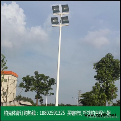 上海亚明400W金卤灯照明灯具安装 户外新款现代led庭院灯