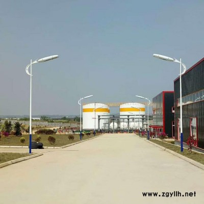 泸县道路灯 太阳能路灯
