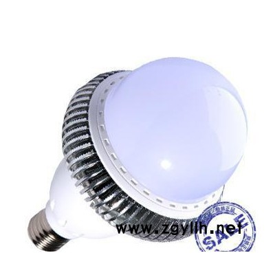 led球泡灯,超级省电LED 球泡灯庭院灯/30W