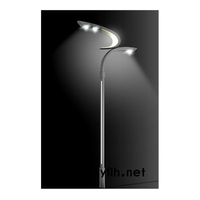 杰炜灯饰TT-R2601 LED路灯    LED路灯厂家