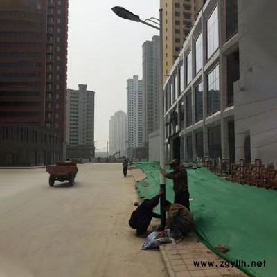 极之光灯具可定制 太阳能路灯道路灯太阳能LED路灯厂家批发加工