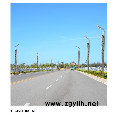 杰炜灯饰TT-R1701 LED路灯    LED路灯厂家