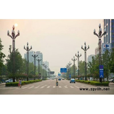 常州FNZH/伍玖照明FNZH专业玉兰灯  组合灯 中华灯 道路灯 LED道路路灯 专业玉兰灯 银川路灯厂家 **全国