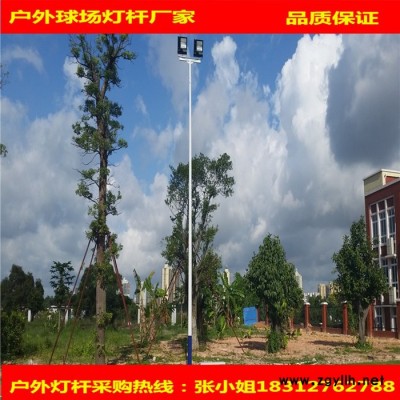 重庆厂家生产足球场灯杆，户外灯杆 新农村道路灯杆草坪灯
