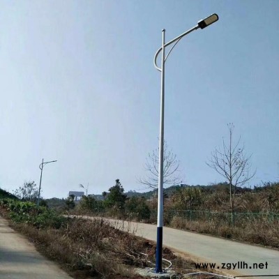 FNZHFNZH-060603 路灯专业LED路灯厂家 单臂太阳能LED路灯新农村建设路灯批发价格