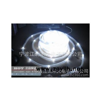 太阳能灯 led灯  庭院灯 圣诞 霓虹灯 100LED 白