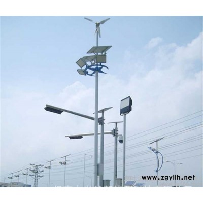 30瓦风光互补路灯 太阳能风光互补路灯报价 路灯