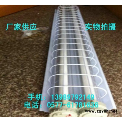 隔爆型防爆荧光灯 BAY51-2x36W防爆节能荧光灯
