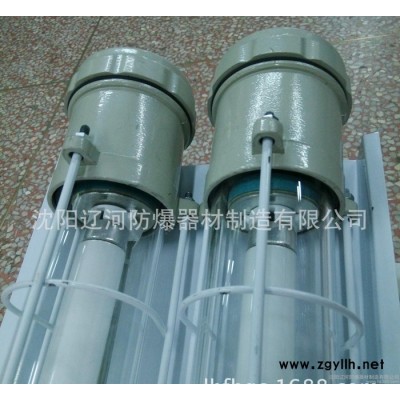 防爆双管荧光灯 LED灯管 沈阳辽河 防爆荧光灯 防爆灯