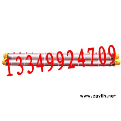 供应BAY，防爆防腐全塑荧光灯