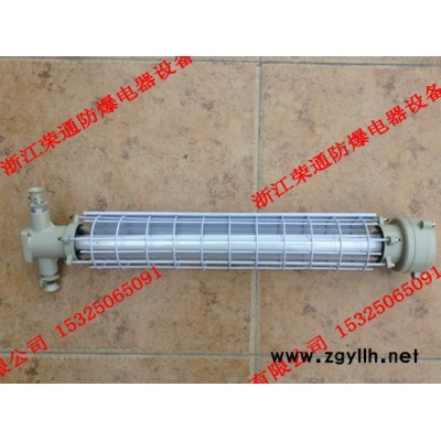 供应荣通DGS20/127Y防爆荧光灯