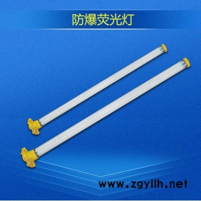 防爆荧光灯 隔爆型防爆荧光灯 粉尘防爆防腐荧光灯