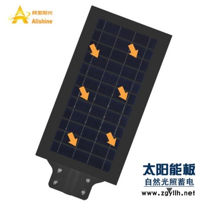 防锈路灯 防腐蚀路灯 铝质路灯 3030灯珠 高光效 流明高 5050灯珠 连体透镜 单颗1W路灯 铝基板 散热器