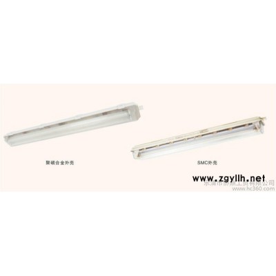 供应新黎明BYS防爆防腐全塑荧光灯