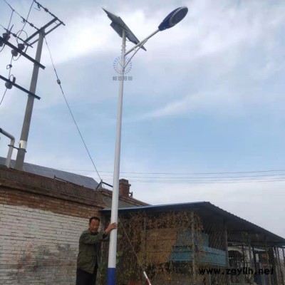 畅园cyzm 白兰火炬太阳能路灯 LED太阳能路灯 锂电一体火炬路灯