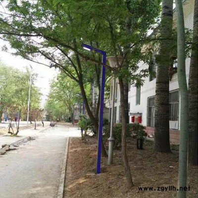 极之光河北4米5米道路路灯价格