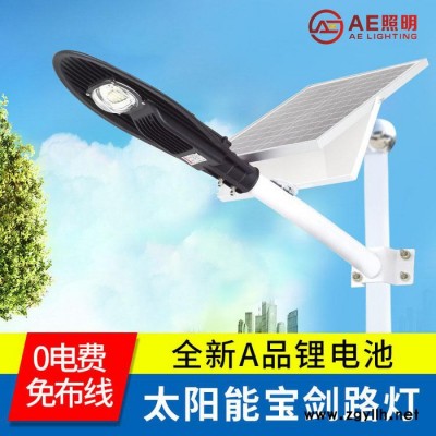 AE照明AE-TYN-LD 太阳能路灯100w高亮宝剑路灯、新农村改造路灯