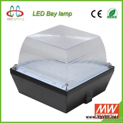 大功率LED天花灯 40W  天棚灯 庭院灯 酒店灯 明纬电源DLC 、UL认证 90lm/W 防水户外照明 美式 油站