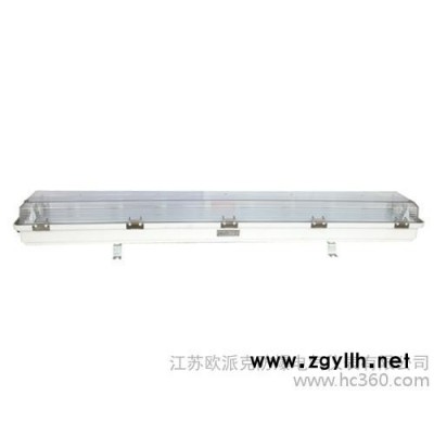 供应防爆荧光灯DYE防爆防腐全塑荧光灯（edⅡC，DIP）
