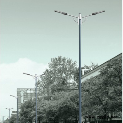 扬州路灯厂家杰耀LED-001米太阳能路灯  5米6米太阳能路灯直供 **