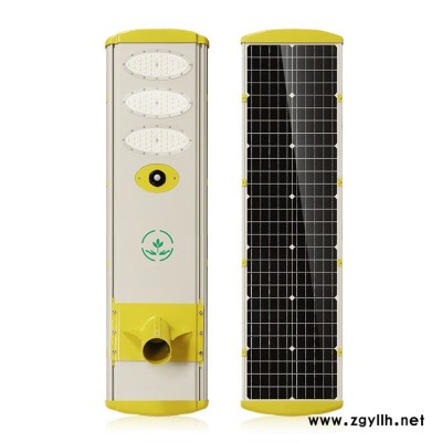 大功率工程项目路灯70w 80w 用在日本韩国台湾欧美等市场 一体化太阳能LED路灯 工厂直销太阳能路灯 性价比高