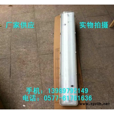 防水防尘防腐全塑荧光灯 FAY-2X40W三防全塑荧光灯