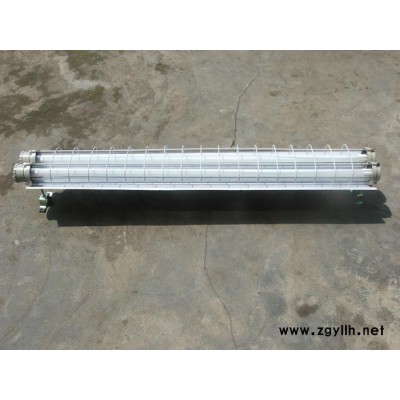 ** 防爆荧光灯 BPY-LED16W 1吐2 双管隔爆节能荧光灯