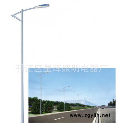 道路照明灯,路灯杆，小区单臂道路，庭院灯杆厂家生产