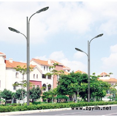 杰炜灯饰宝剑路灯头 LED路灯头    LED路灯厂家