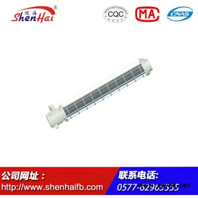 厂家供应BPY52 系列防爆LED荧光灯 防爆灯具 安全节能 防爆荧光灯