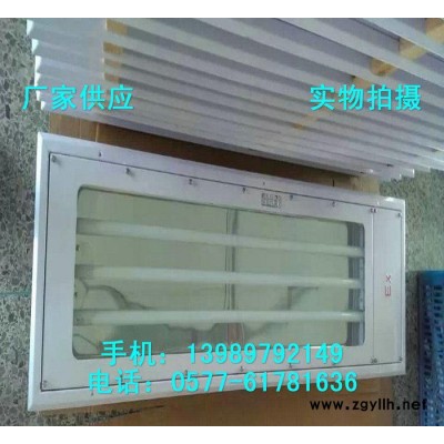 双管洁净荧光灯 BHY-2*36W防爆洁净荧光灯