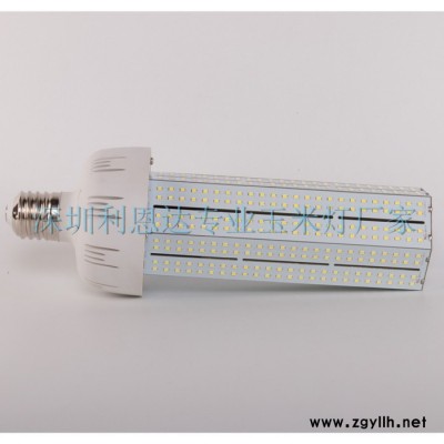 **120w亮化照明深圳利恩达led庭院灯独立光源厂家高亮2835隔离质量保证