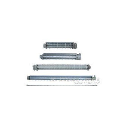 BAY51防爆荧光灯