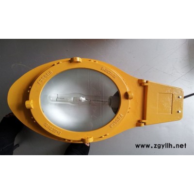 ZAD935JY-250(400)/220防爆道路灯