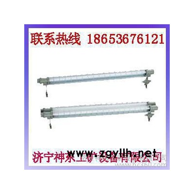 供应防爆荧光灯，DGS20防爆荧光灯，36W防爆节能荧光灯神东，防爆荧光灯价格，防爆荧光灯厂家