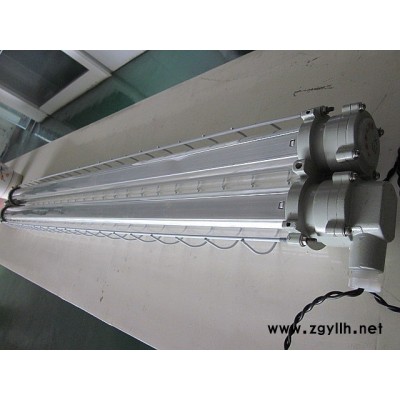供应中普防爆防爆灯具 DYC防爆LED荧光灯 LED防爆荧光灯 防爆灯具 LED防爆荧