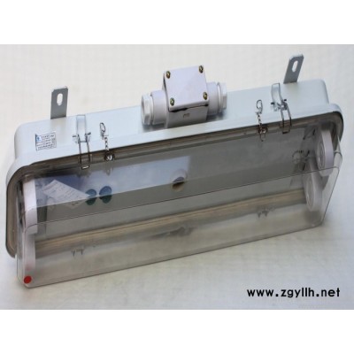 供应船用荧光舱顶灯 船用电子起动荧光灯YCY22 2