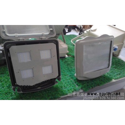 ZAD920JF-70(150)/220防炫应急通路灯