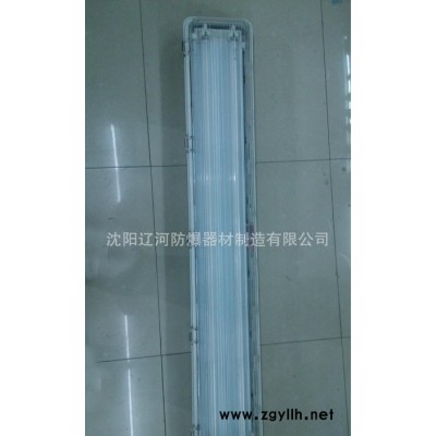 全塑荧光灯双管 防爆灯 2*40W直销 防爆防腐 资质齐全