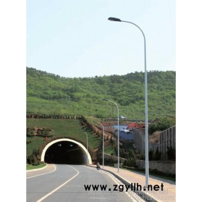 大妙光M-160道路照明灯厂家批发路灯灯杆 高杆灯灯杆 太阳能路灯灯杆 景观柱头路灯灯杆