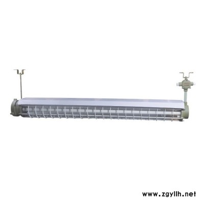 上海飞策  BPY（BAY51）隔爆防爆荧光灯 隔爆防爆荧光灯 （LED）