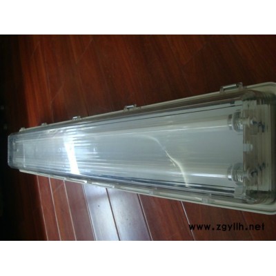 辉策防爆BYS-2X40W防爆防腐全塑荧光灯,温州防爆防腐全塑荧光灯厂家