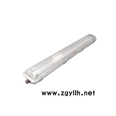 防爆灯 BYS系列防爆防腐全塑荧光灯