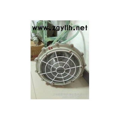 供应BCP(M)防爆平台灯、防爆马路灯、防爆照明灯、防爆防腐全塑荧光灯、新黎明