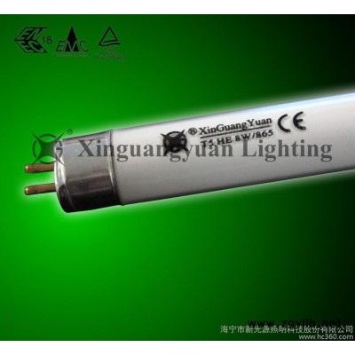 **T5-12W直型荧光灯管 色温6500K  符合CE、R