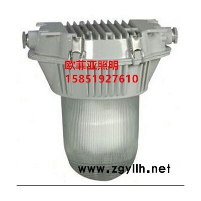 NFC9180/NX长寿防眩顶灯，防水防尘防腐无极荧光灯厂家批发