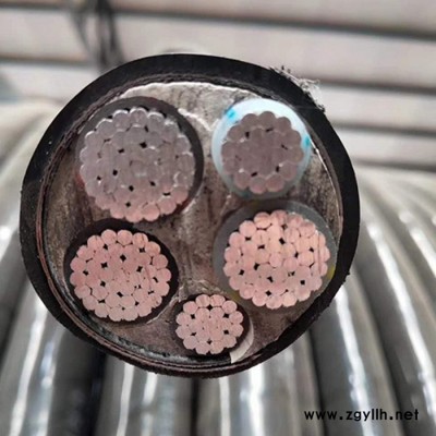 路灯用照明电缆 低压电缆 电力电缆厂