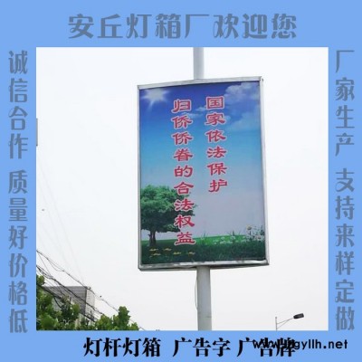 安丘展翅高飞 路灯灯箱户外广告牌定做 支持来样制作