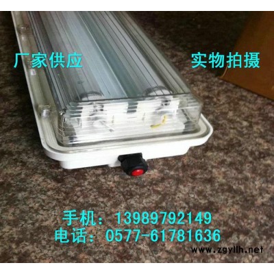防爆防腐全塑荧光灯 BYS-2*18x吸顶式双管荧光灯