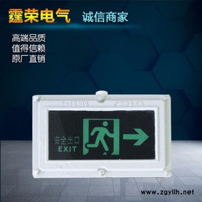 霆荣电气BC9700系列 防爆LED免维护照明灯防爆双头应急灯防爆标志灯防爆工矿灯防爆荧光灯三防全塑荧光灯防爆洁净灯定做